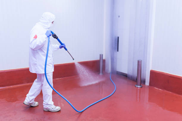 Best Dumpster Area Cleaning  in Cedar Bluff, VA